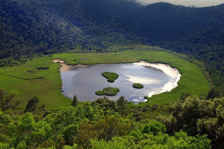 mljet kroatie natuurpark