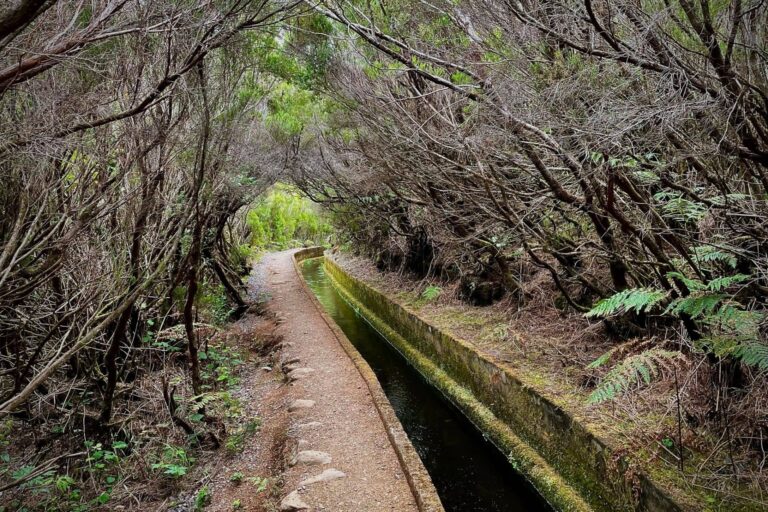 levadas madeira