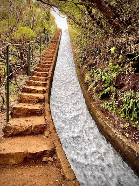 levada do Alecrim Madeira levada walk madeira