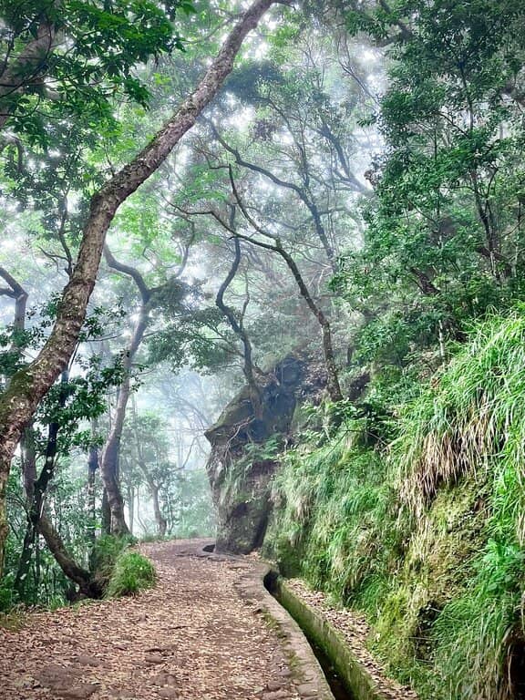 makkelijke wandeling madeira levada dos Balcoes