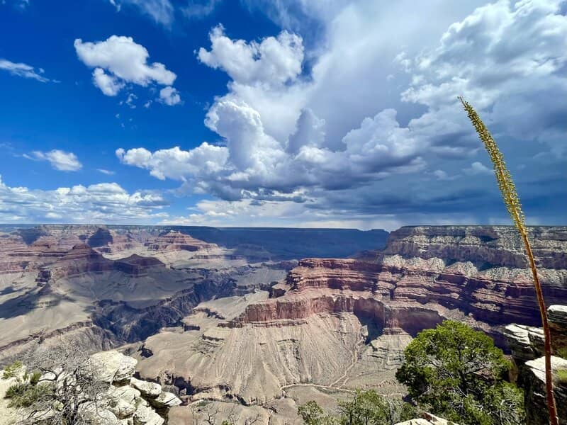 uitzicht grand canyon bezoek 