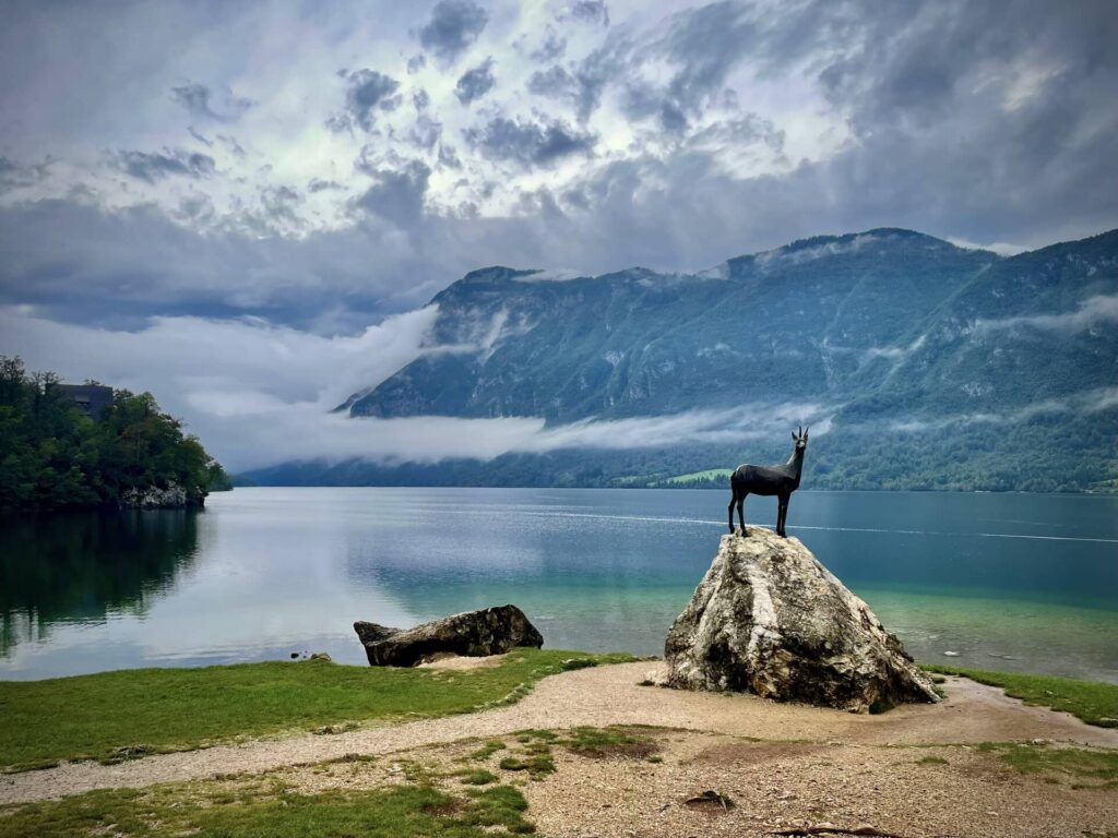 meer van Bohinj featured image